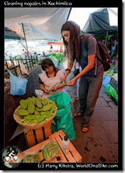 Cleaning nopales in Xochimilco